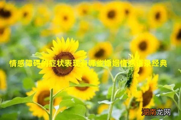 情感障碍的症状表现有哪些婚姻情感语录经典短句