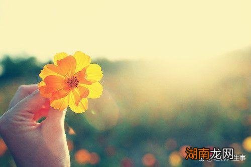 夜听情感故事哪几类比较受欢迎