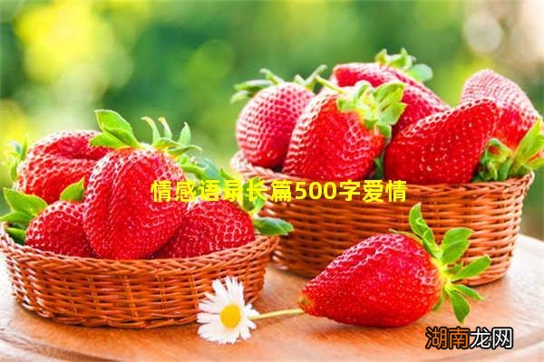 情感语录长篇500字爱情