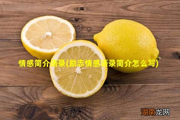 励志情感语录简介怎么写 情感简介语录