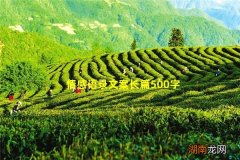 情感语录文案长篇500字