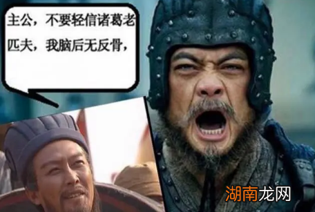 都说魏延天生反骨 魏延造反是不是被逼的