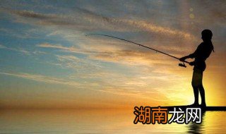 秋季钓黄鲷鱼技巧 秋季钓黄鲷鱼技巧介绍