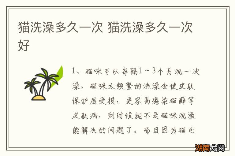 猫洗澡多久一次 猫洗澡多久一次好