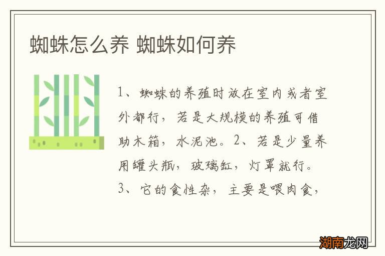 蜘蛛怎么养 蜘蛛如何养