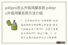 p40pro怎么升级鸿蒙系统 p40pro升级鸿蒙系统方法介绍