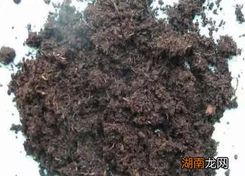 生物菌肥和有机肥哪个好