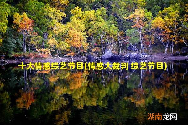 情感大裁判 综艺节目 十大情感综艺节目