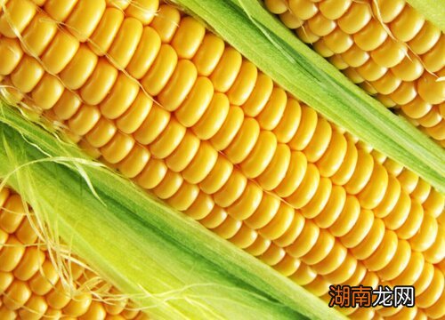 如何剥玉米粒比较快一点