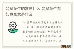 翡翠花生的寓意什么 翡翠花生龙如意寓意是什么