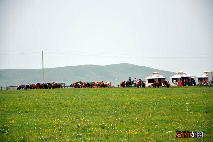 八月份内蒙古哪里好玩的地方 内蒙8月份旅游攻略