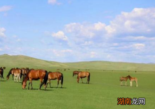 呼伦贝尔旅游最佳时间 几月份去呼伦贝尔大草原旅游最好