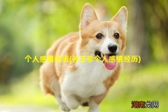 孙艺珍个人感情经历 个人感情经历