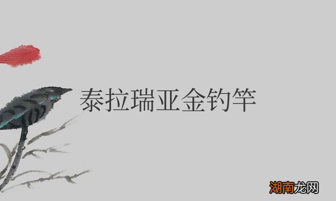 泰拉瑞亚金钓竿怎么获得？能在岩浆里钓鱼吗？