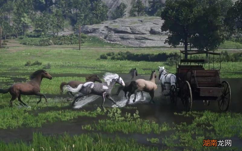 荒野大镖客2狐步马在哪里抓