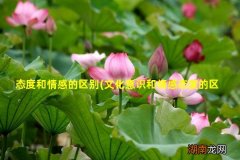 文化意识和情感态度的区别 态度和情感的区别