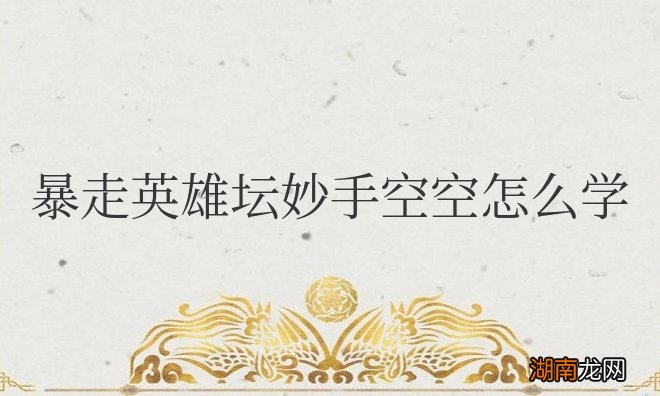 详细讲解 暴走英雄坛妙手空空怎么学回答问题