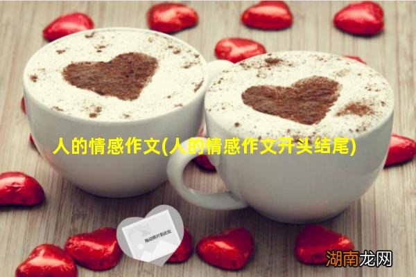 人的情感作文开头结尾 人的情感作文