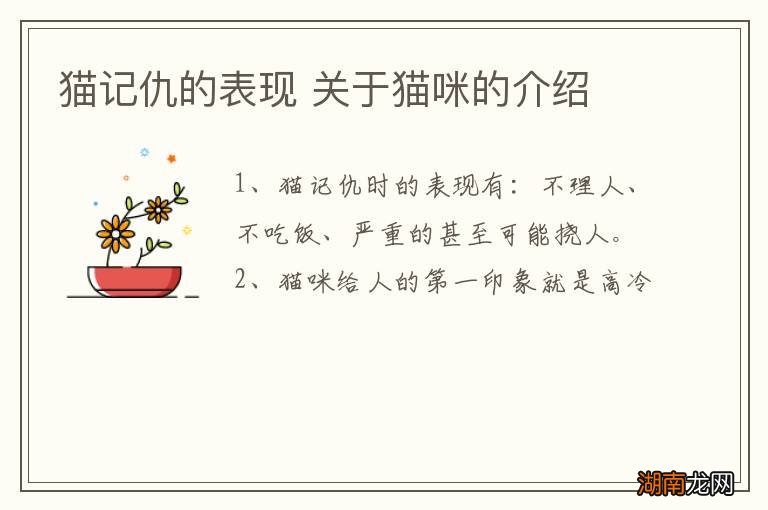 猫记仇的表现 关于猫咪的介绍