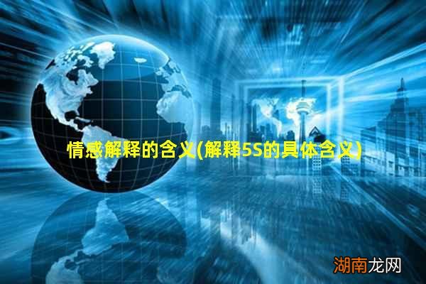 解释5S的具体含义 情感解释的含义