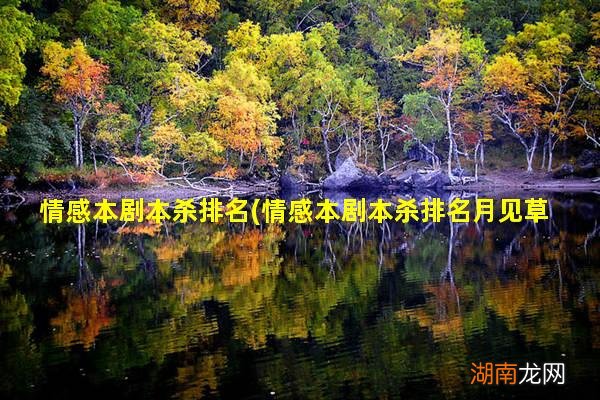 情感本剧本杀排名月见草 情感本剧本杀排名