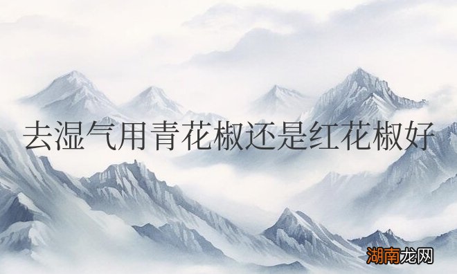 去湿气用青花椒还是红花椒好
