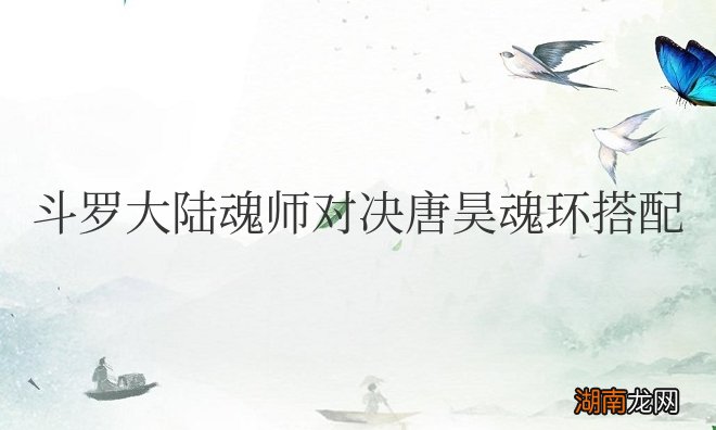 斗罗大陆魂师对决唐昊魂环搭配攻略