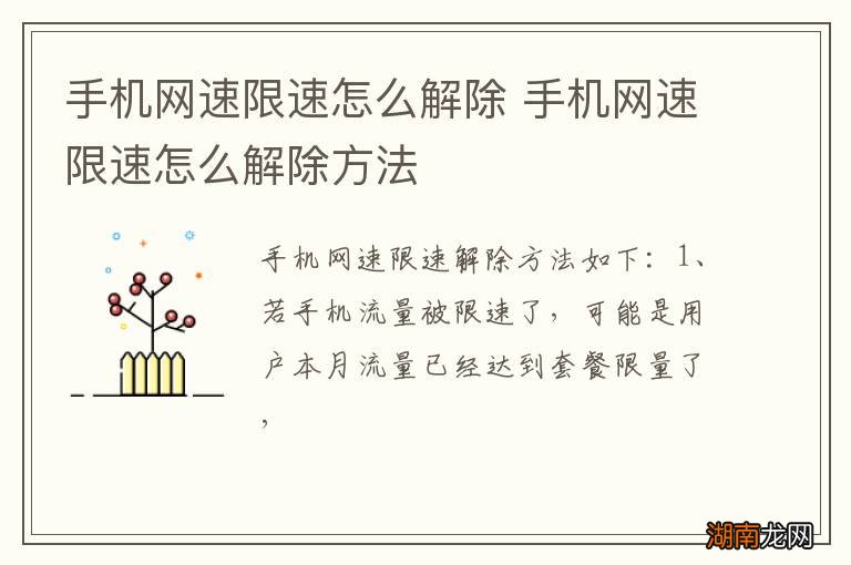 手机网速限速怎么解除 手机网速限速怎么解除方法