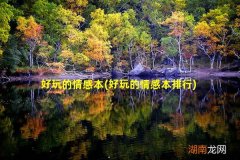 好玩的情感本排行 好玩的情感本