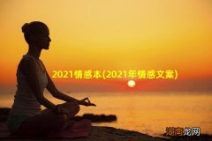 2021年情感文案 2021情感本