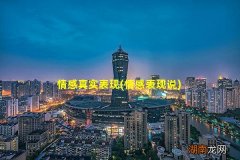 情感表现说 情感真实表现