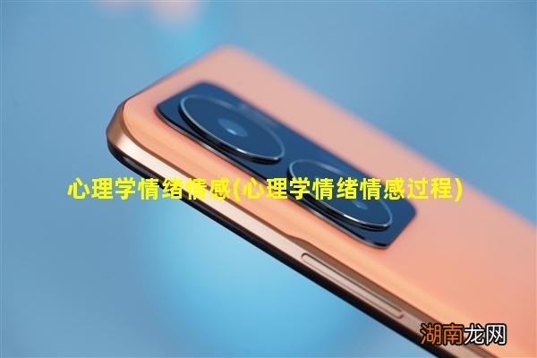 心理学情绪情感过程 心理学情绪情感