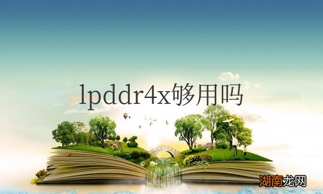 lpddr4x最大支持多大内存 lpddr4x够用吗