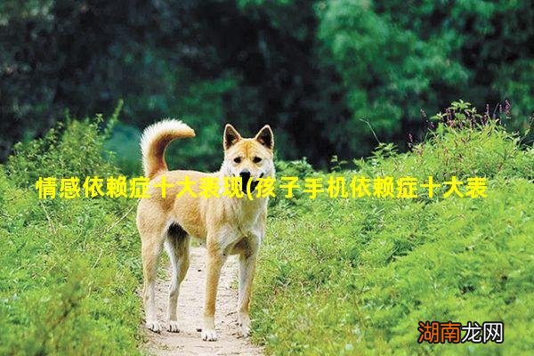 孩子手机依赖症十大表现 情感依赖症十大表现