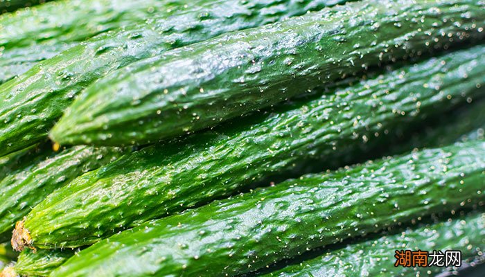 黄瓜古称胡瓜由西汉谁从西域带到中原由此而得名 黄瓜西汉谁从西域带到中原由此而得名