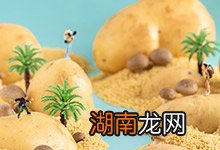 土豆热量高吗 土豆热量高不高
