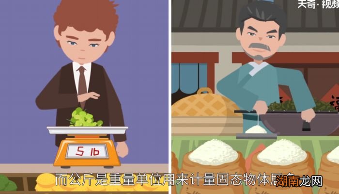 1磅等于多少公斤1磅是多少公斤