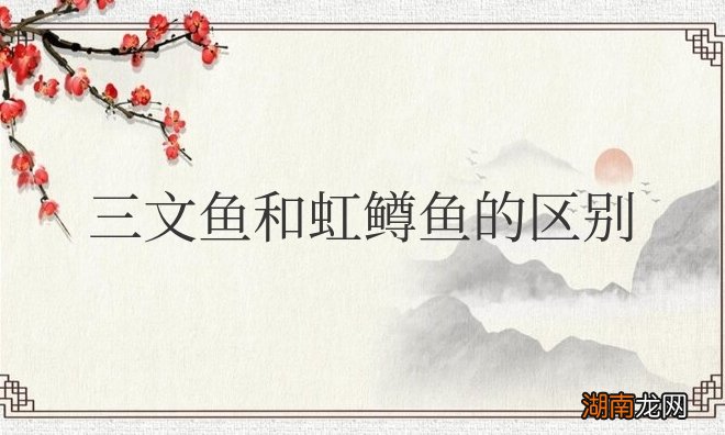 外观样子对比 三文鱼和虹鳟鱼的区别