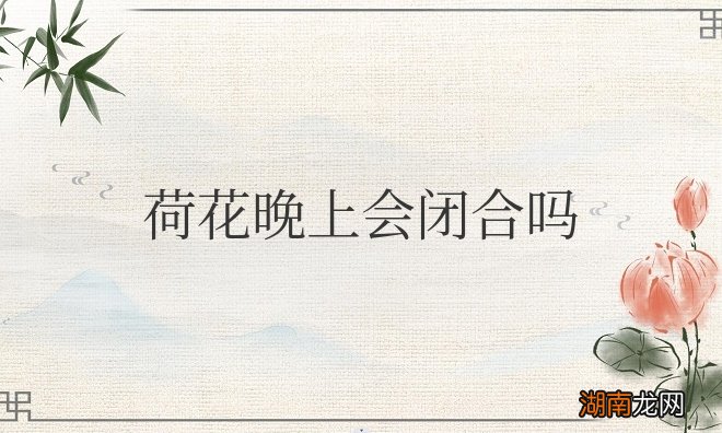 荷花白天开花晚上闭合吗 荷花晚上会闭合吗