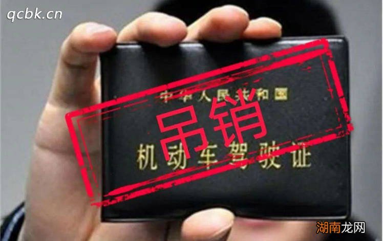 吊销驾驶证怎么办