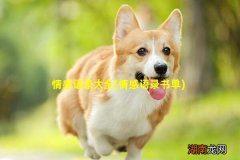 情感语录书单 情感语录大全