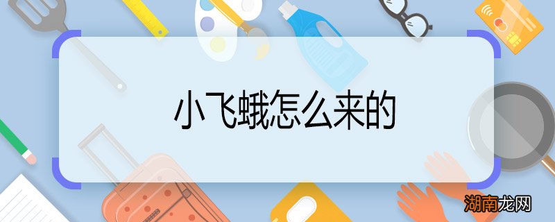 小飞蛾怎么来的 家里为什么有小飞蛾