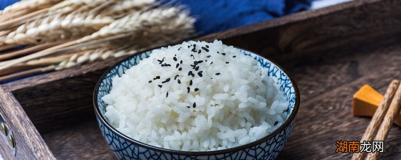 100克米饭的热量 米饭含有哪些营养物质