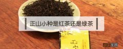 正山小种是红茶还是绿茶