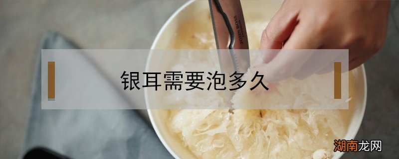 银耳需要泡多久