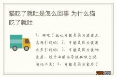猫吃了就吐是怎么回事 为什么猫吃了就吐