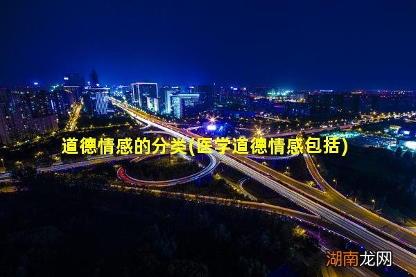 医学道德情感包括 道德情感的分类