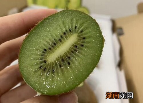 猕猴桃和奇异果有什么区别?哪个更好?