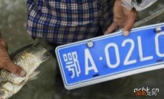 湖北的车牌号简称什么