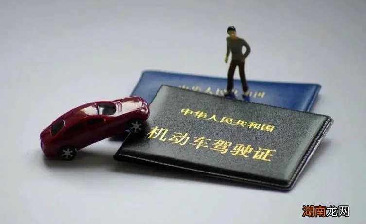 驾驶证档案编号是什么